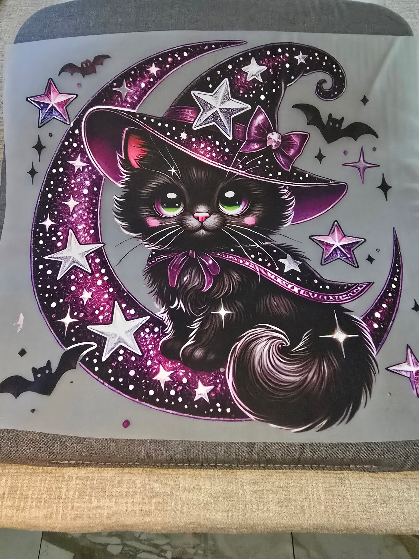 HW11  Cat and Moon
