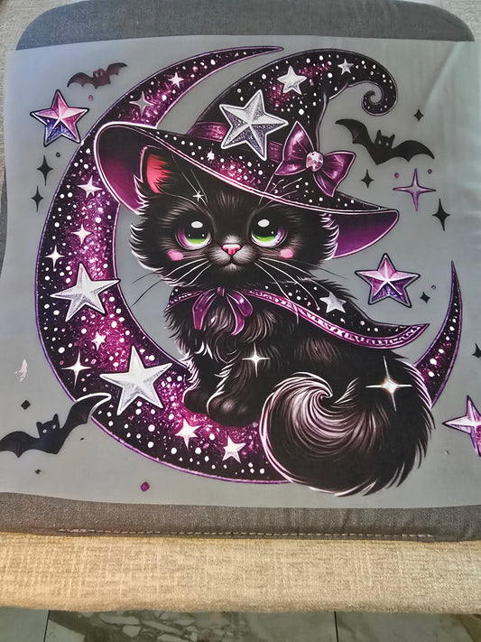 HW11  Cat and Moon
