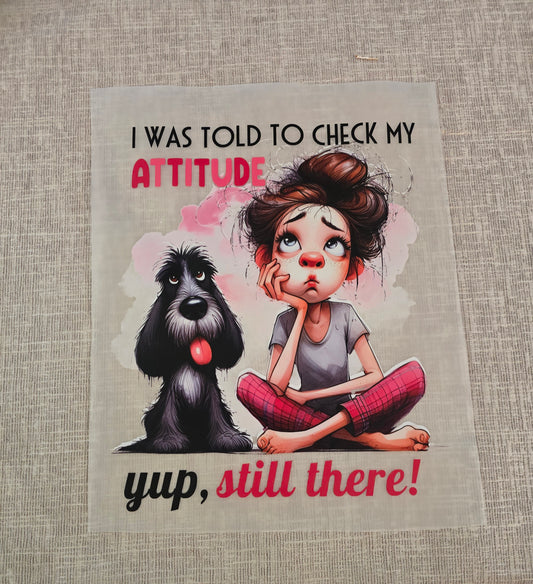 DTF Attitude